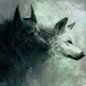 Meet your Posher, Zach